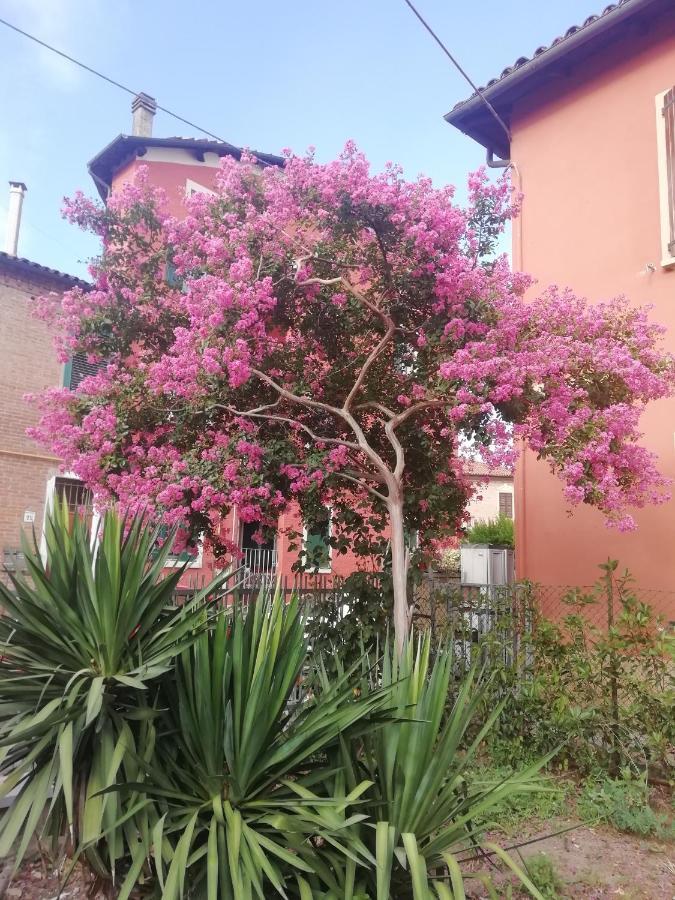 Grigio Perla Panigale, Villetta Con Giardino E Parcheggio Privato Fino A Tre Posti Auto - Un Oasi Di Tranqullita Bolonia Zewnętrze zdjęcie