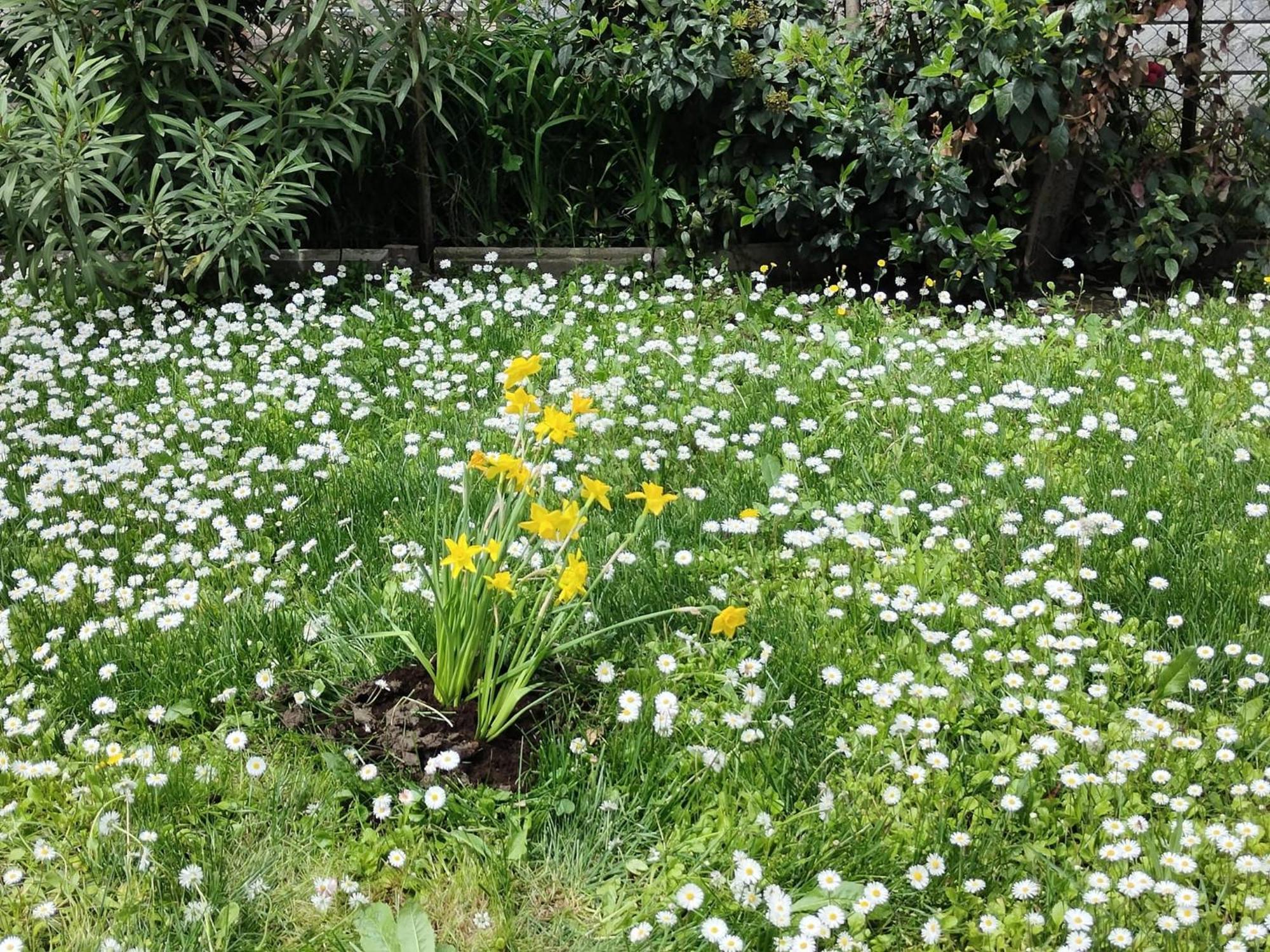 Grigio Perla Panigale, Villetta Con Giardino E Parcheggio Privato Fino A Tre Posti Auto - Un Oasi Di Tranqullita Bolonia Zewnętrze zdjęcie